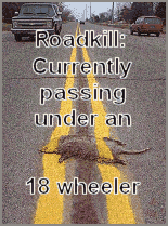 Roadkill: Currently Passing Under an 18 Wheeler